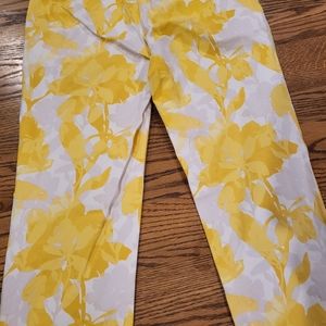 Bannana Republic pants